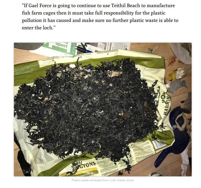 MCS beach clean #14 MCS beach clean #14