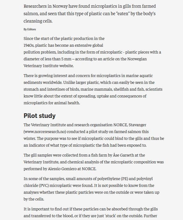 MCS beach clean #20 MCS beach clean #20