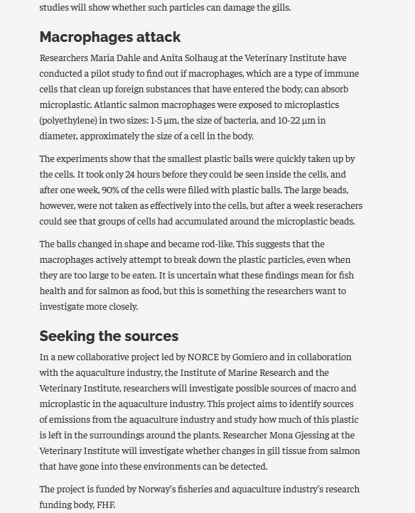 MCS beach clean #21 MCS beach clean #21