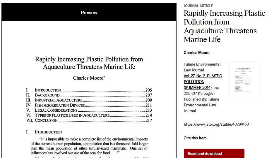 MCS beach clean #23 MCS beach clean #23