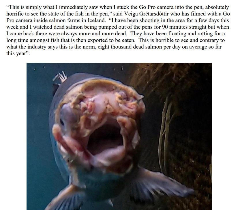 PR NASF & Animal Concern 18 September 2021 #3