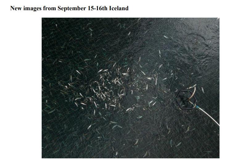 PR NASF & Animal Concern 18 September 2021 #5