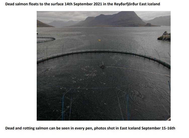 PR NASF & Animal Concern 18 September 2021 #6