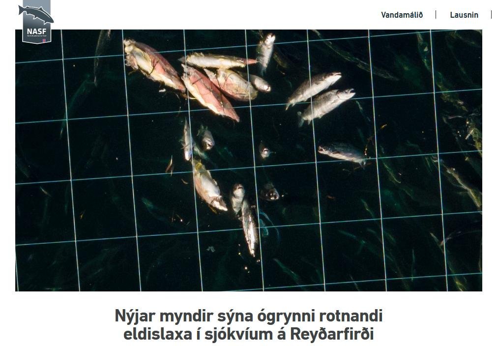 Iceland NASF PR 17 Sept 2021 #2