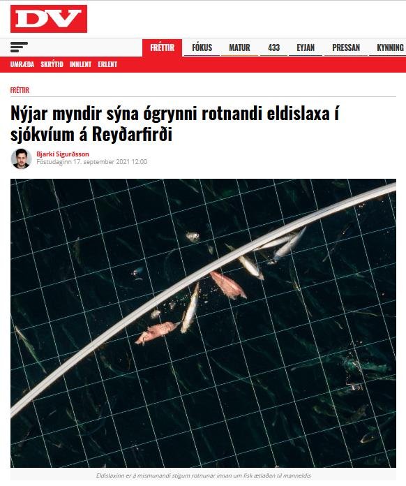 Iceland NASF PR 17 Sept 2021 #4