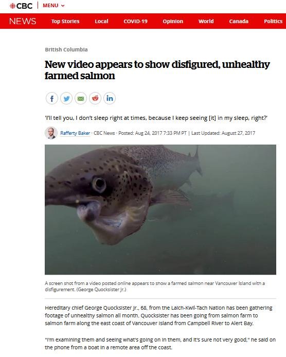 Video blog Oct 2021 #1