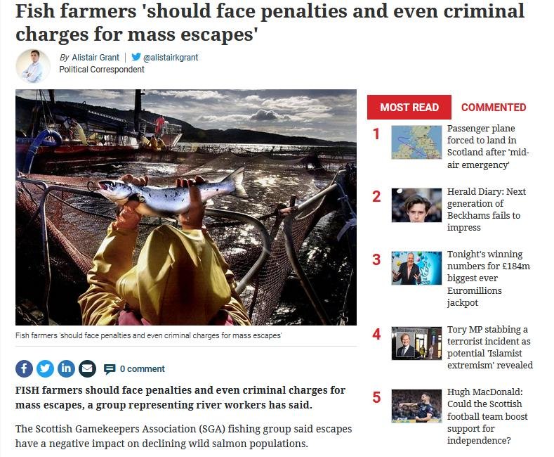 Herald 16 Oct 2021 #1