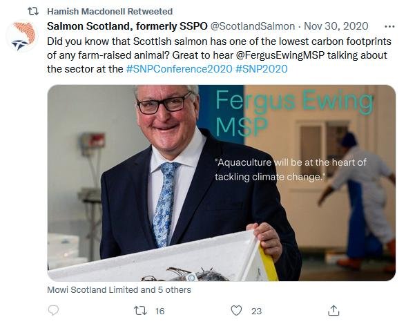 COP26 blog Nov 2021 #8