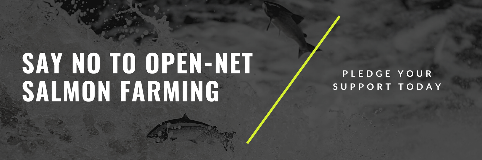 S&TC pledge Oct 2021 graphic