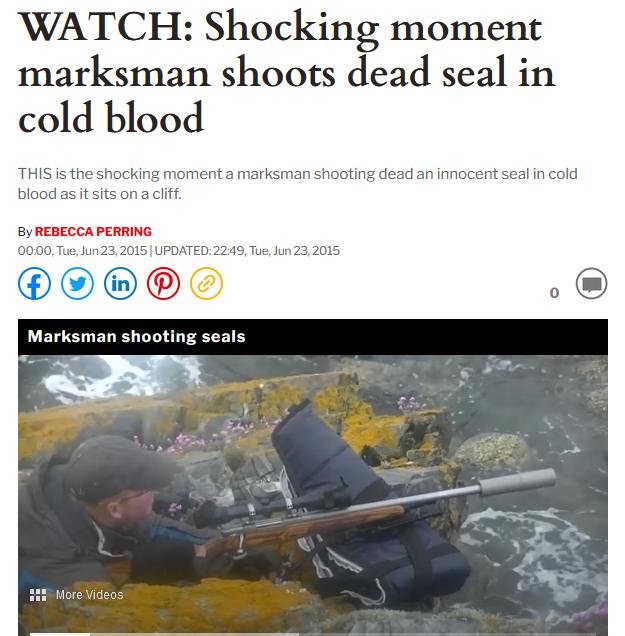 Bonnie blog Nov 2021 #10