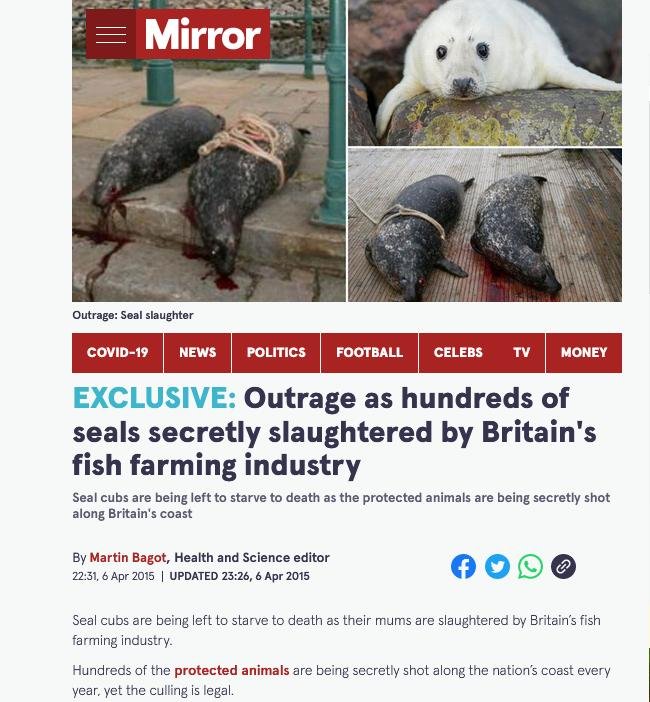 Bonnie blog Nov 2021 #11