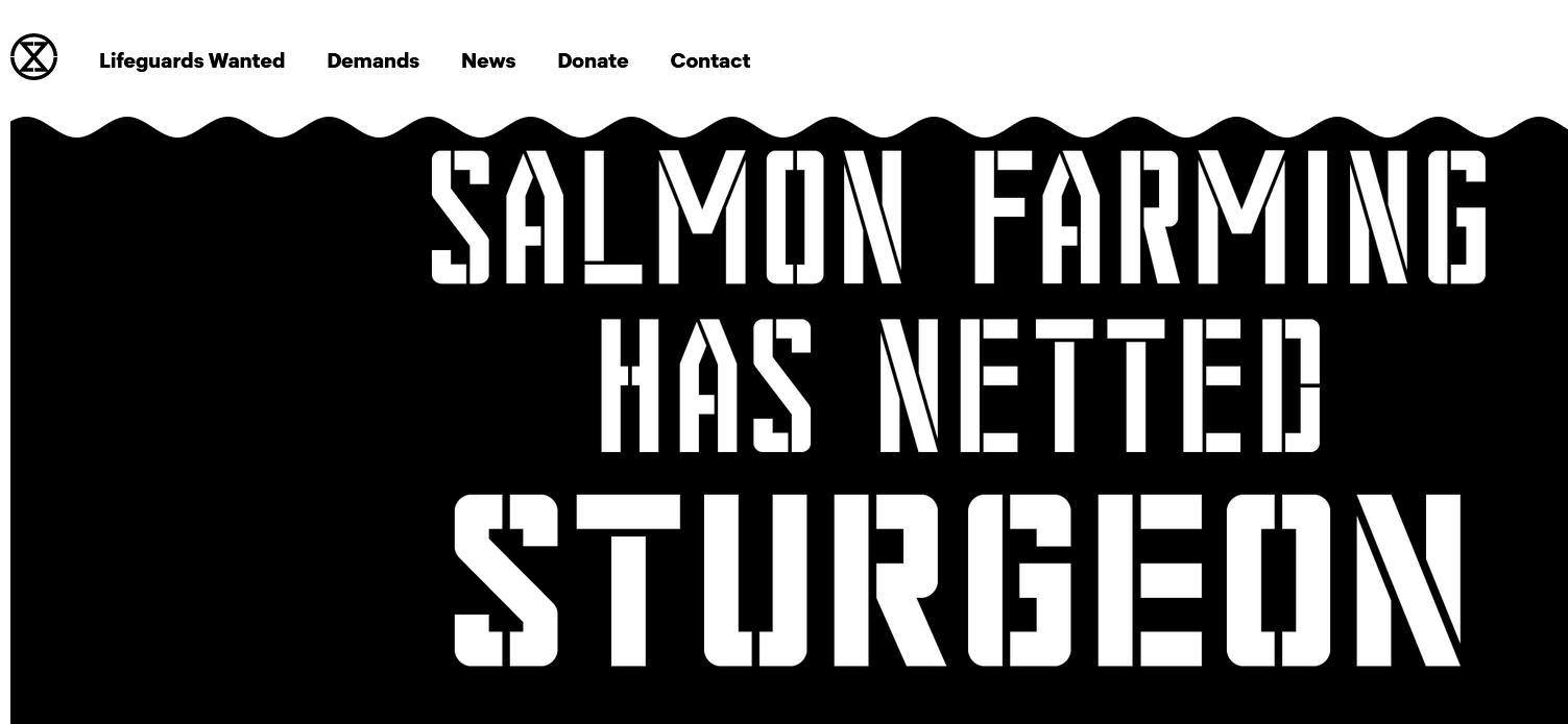 Ocean Rebellion Nov 2021 blog #8