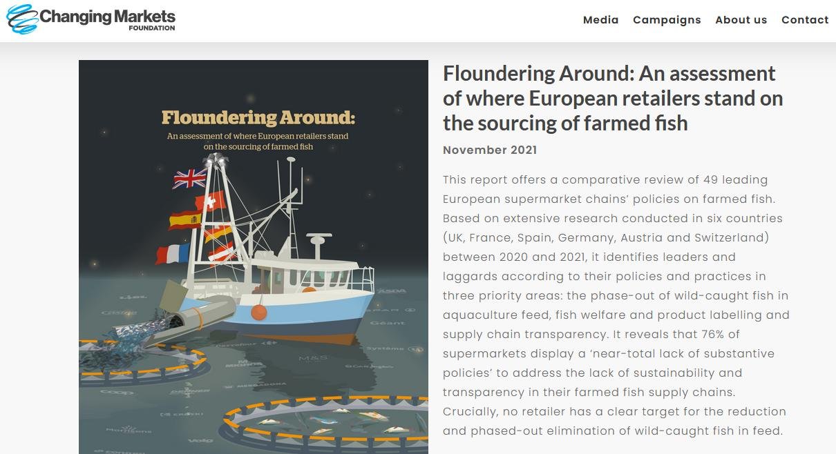 Changing Markets Floundering Nov 2021 #1