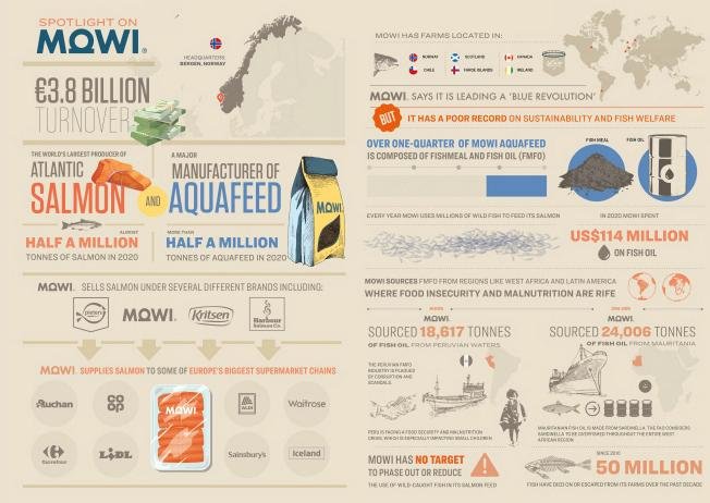 Changing Markets Floundering Nov 2021 #1 Mowi