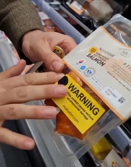 Ecohustler sticker M&S Frome Nov 2021 #2