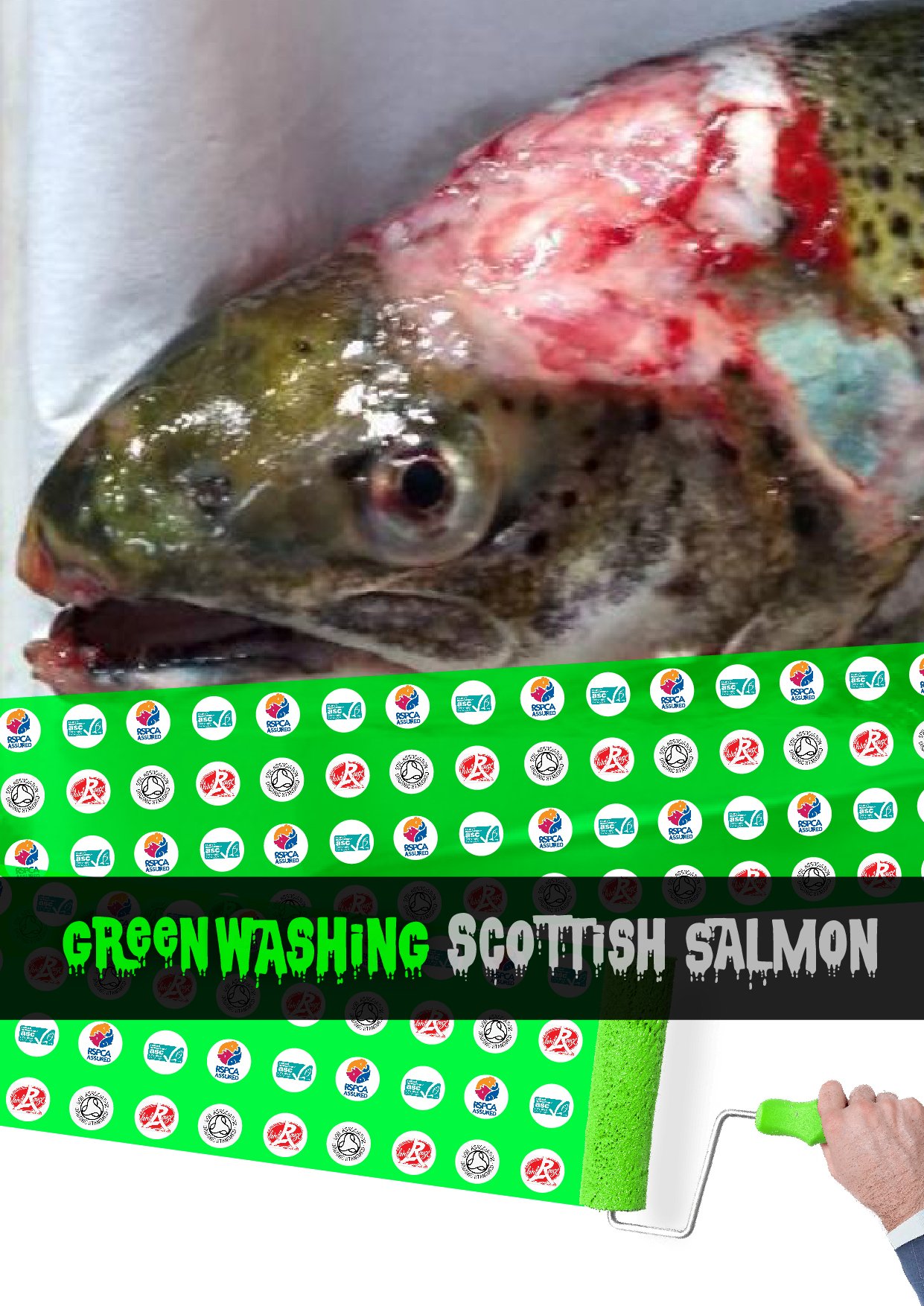 Greenwash graphic #3 Greenwash graphic #3