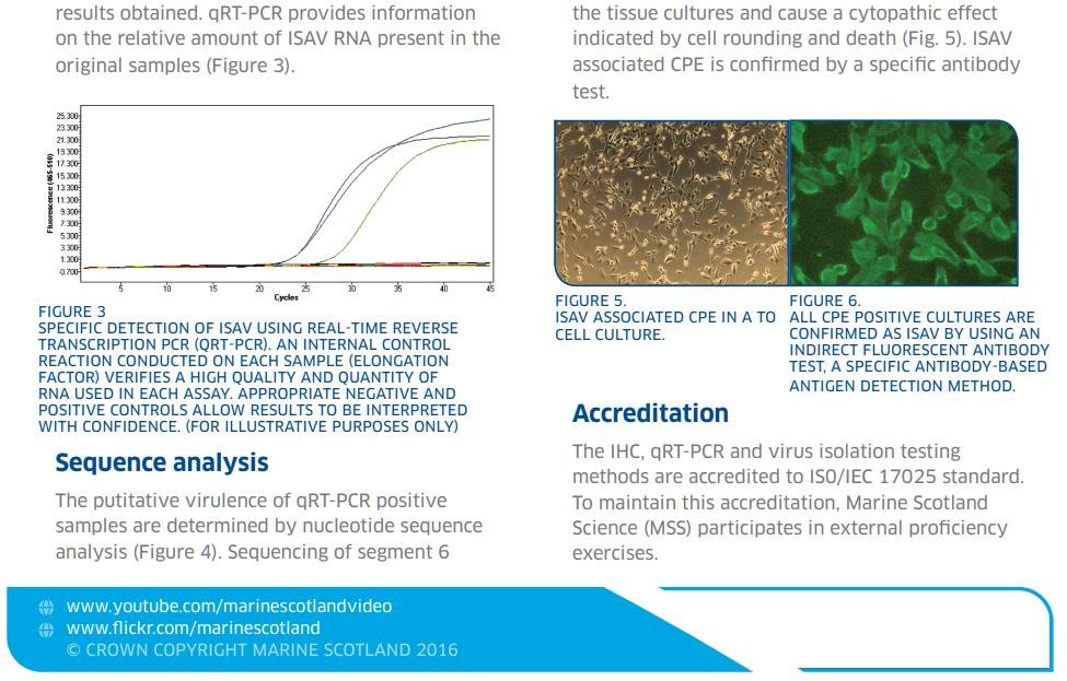 ISA Topic Sheet 2016 #4 ISA Topic Sheet 2016 #4