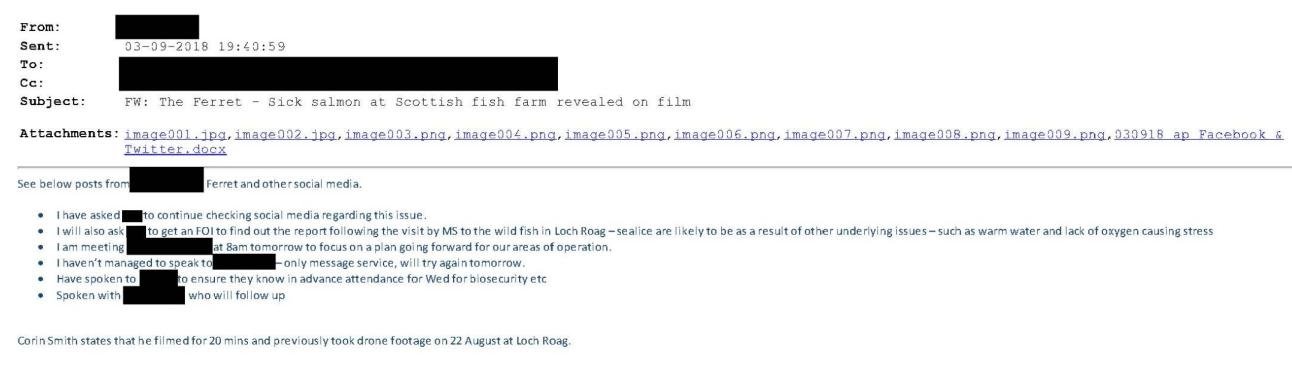 SSC Ferret SSC Ferret