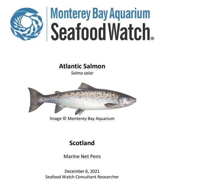 MBA 6 December 2021 reports #1 Scotland front page