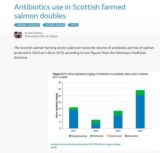 Fish Site 9 Dec 2021 #1 Fish Site 9 Dec 2021 #1