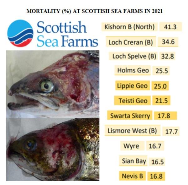 Mort Rates 2021 up to October SSF Mort Rates 2021 up to October SSF