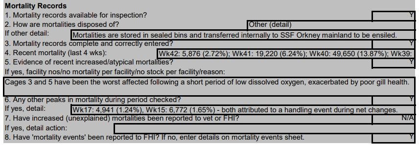 Toyness FHI Oct 2021 #3 Toyness FHI Oct 2021 #3