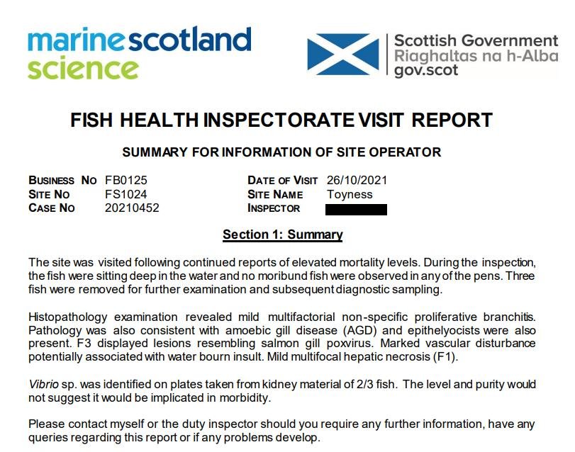 Toyness FHI Oct 2021 #6 Toyness FHI Oct 2021 #6