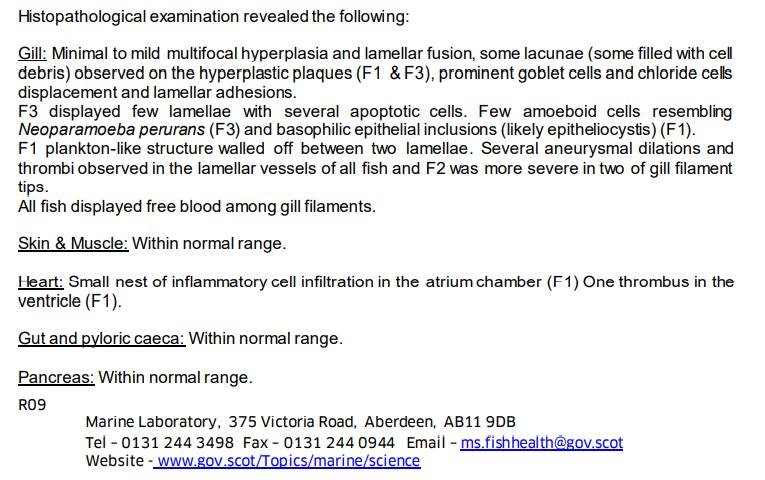 Toyness FHI Oct 2021 #9 Toyness FHI Oct 2021 #9