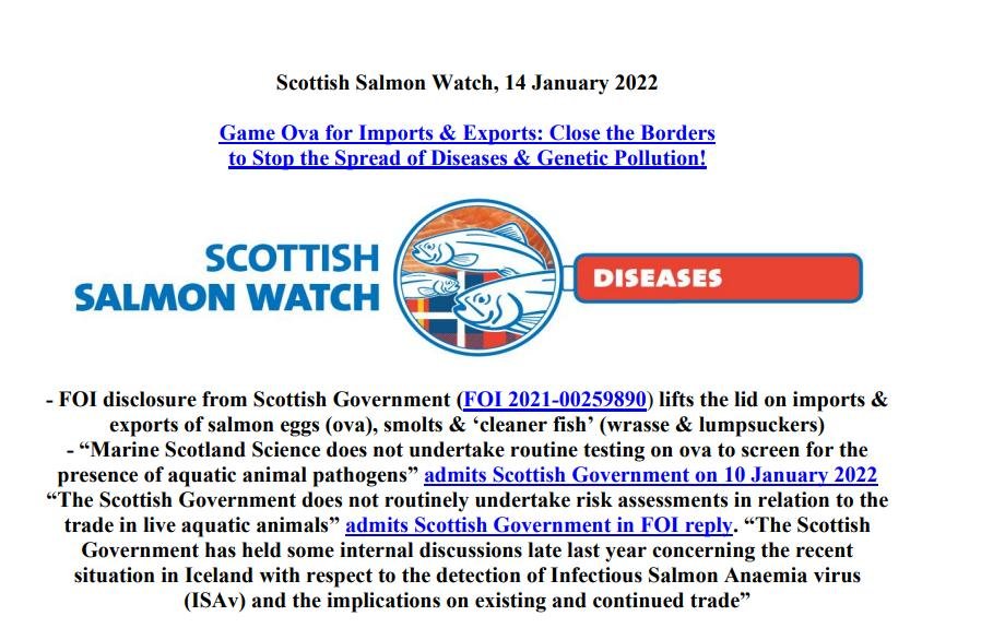 PR Imports & Exports Close the Borders 14 Jan 2022 #1