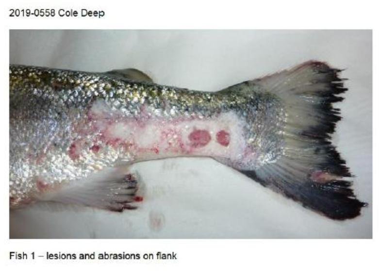 Toxic blog Jan 2022 #11