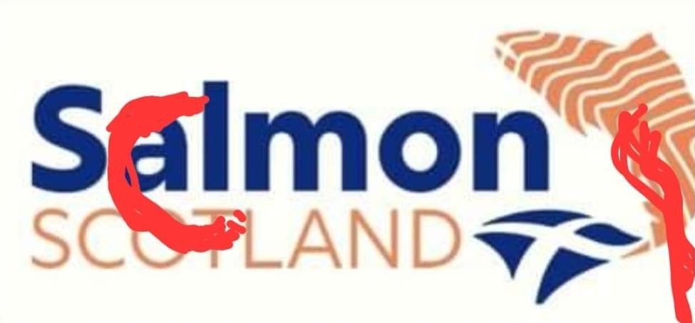 Scamon Scotland spoof logos #1 Alison Black Scamon Scotland spoof logos #1 Alison Black