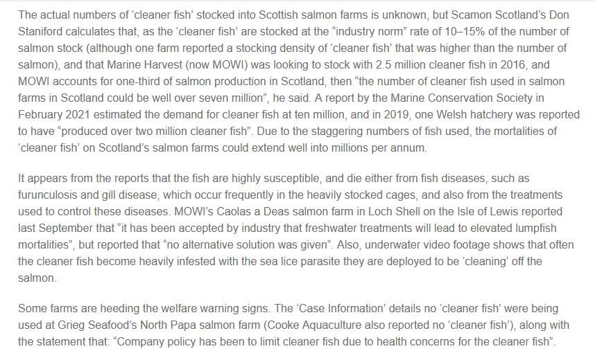 FFFT Feb 2022 #4 FFFT Feb 2022 #4