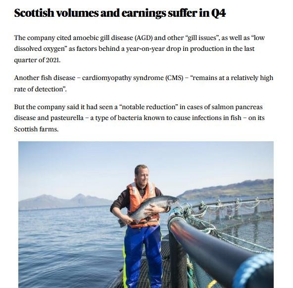 Q4 2021 blog #2 Q4 2021 blog #2