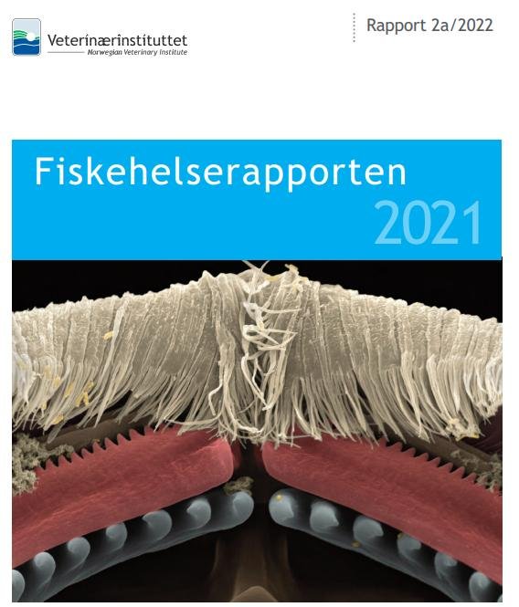 2021 Norwegian Fish Health Report 8 March 2022 #1