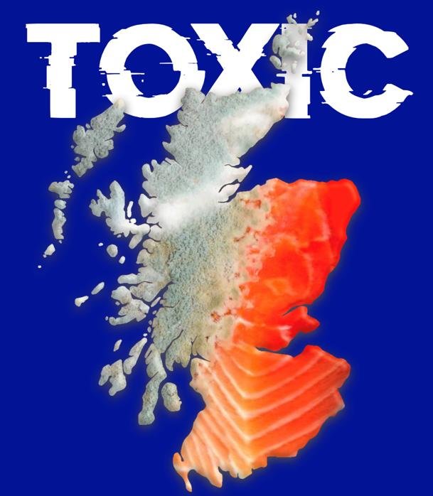 Toxic Scotland spoof no words just toxic in blue Toxic Scotland spoof no words just toxic in blue