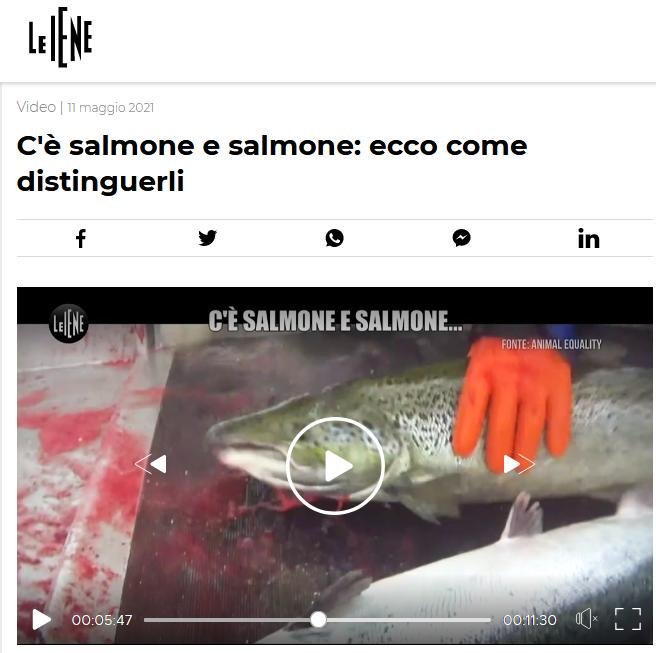 Italian TV May 2021 #6 Animal Equality Italian TV May 2021 #6 Animal Equality