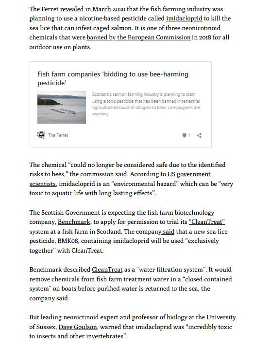 Ferret 21 May 2021 #3