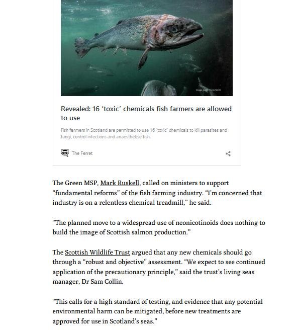 Ferret 21 May 2021 #7