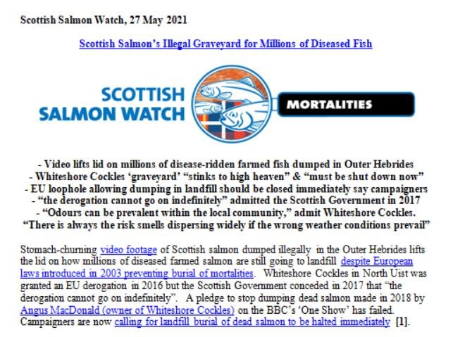 PR Dump Scottish Salmon Whiteshore Cockles 27 May 2021 #1 PR Dump Scottish Salmon Whiteshore Cockles 27 May 2021 #1