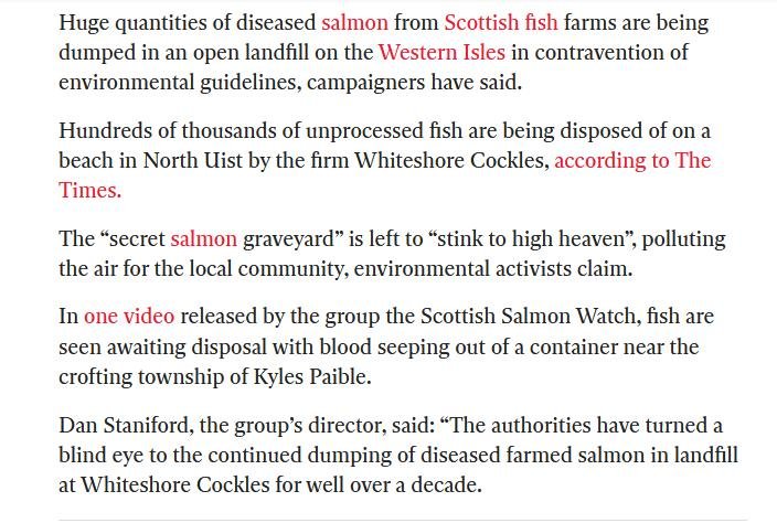 Independent 27 May 2021 #2