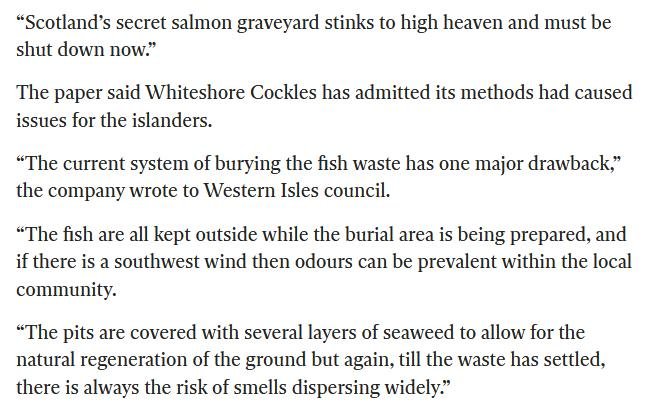 Independent 27 May 2021 #3