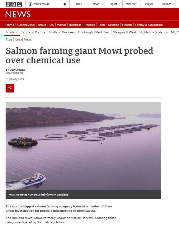 BBC blog #7 BBC blog #7