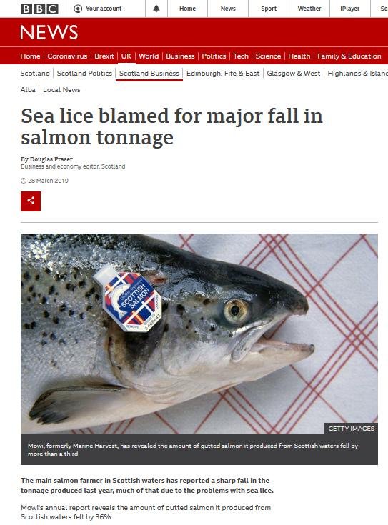 BBC blog #12 BBC blog #12