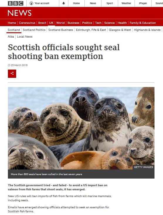 BBC blog #14 BBC blog #14