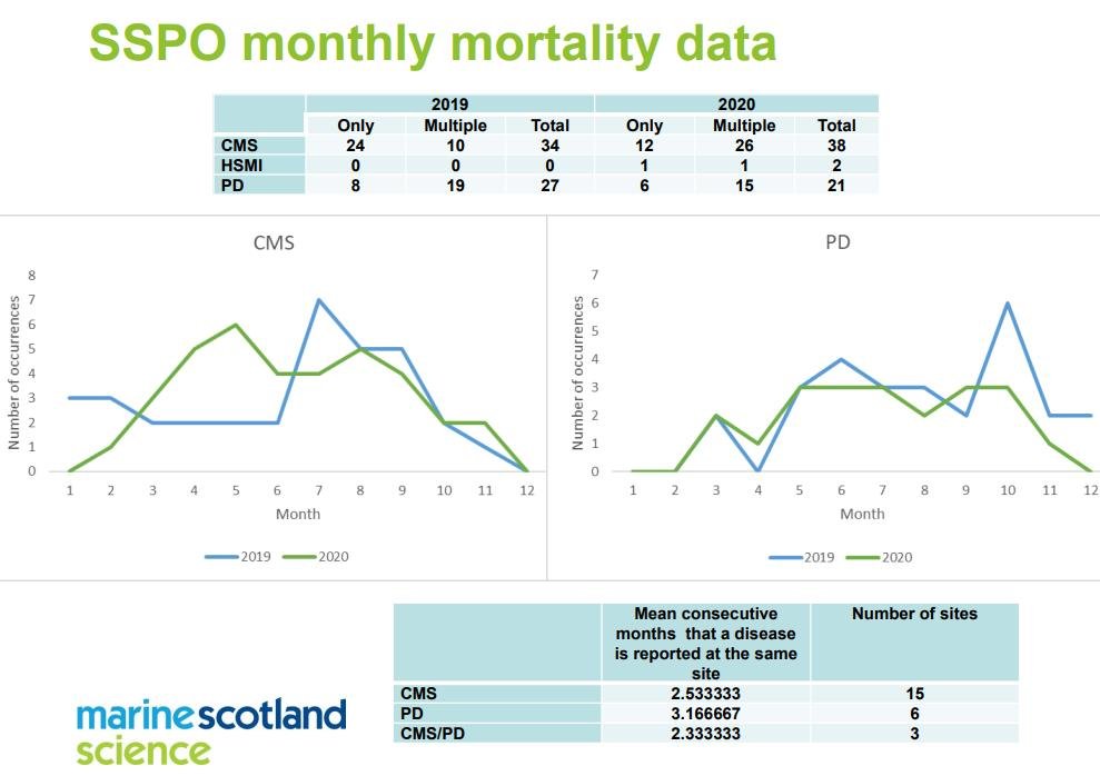 TriNations SG report April 2021 CMS HSMI PD #1