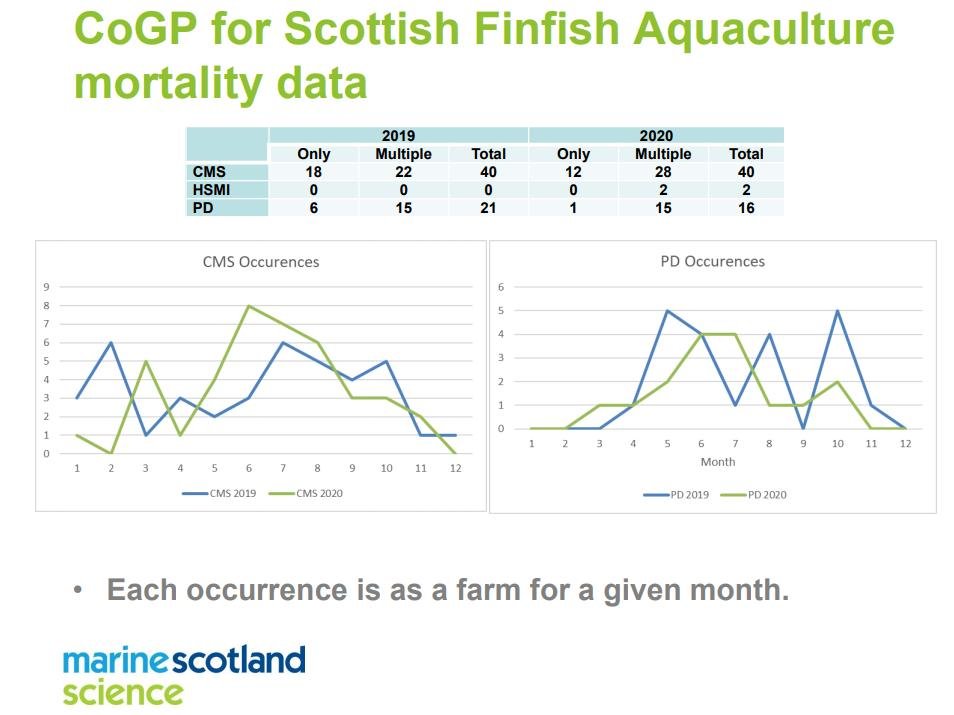 TriNations SG report April 2021 CMS HSMI PD #3