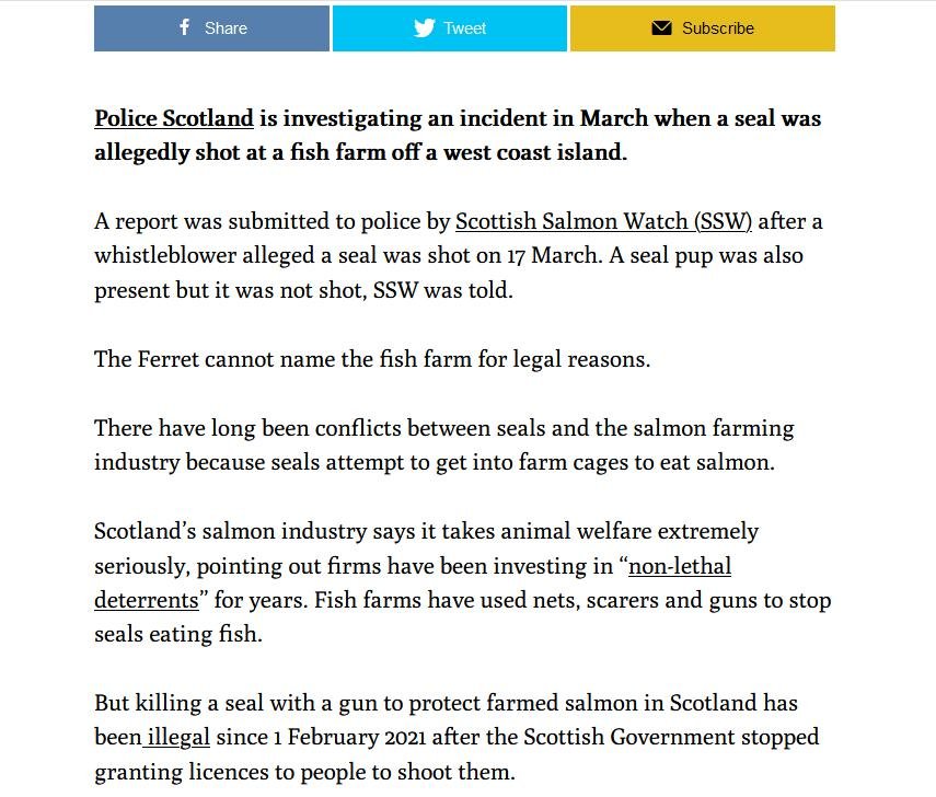 Ferret 8 June 2021 #2 Ferret 8 June 2021 #2