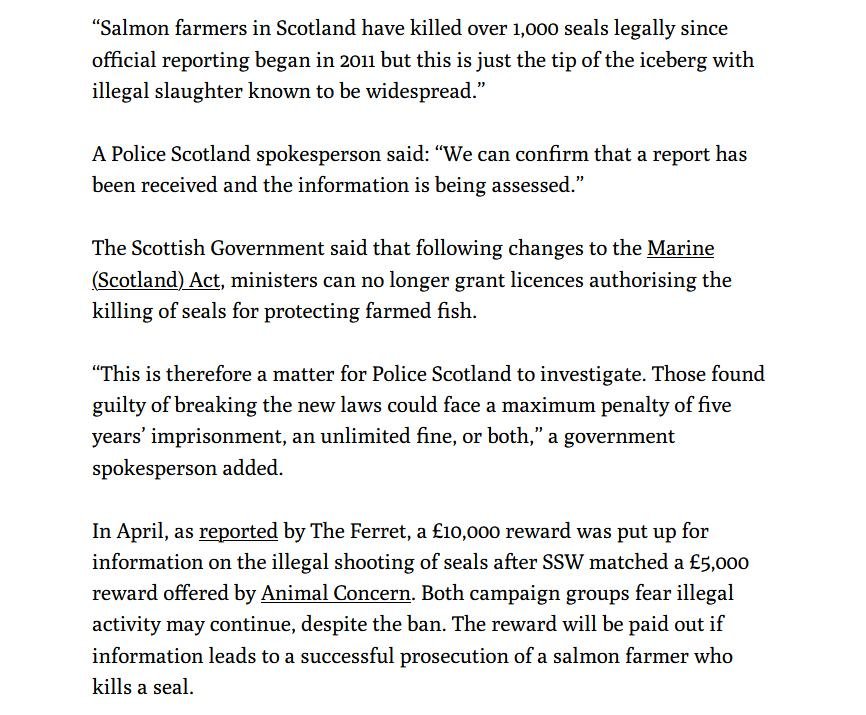 Ferret 8 June 2021 #5 Ferret 8 June 2021 #5