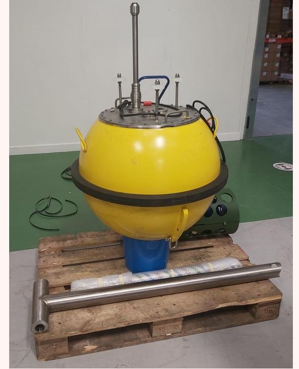 Salmon Business Genus Wave June 2021 #5