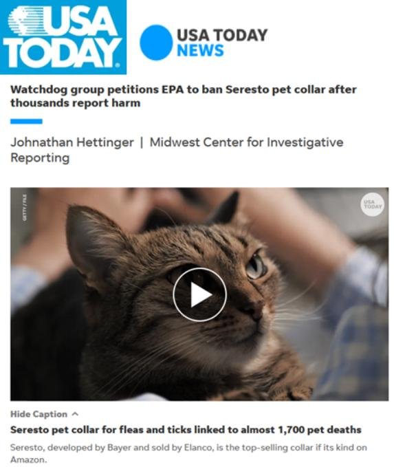 Pet deaths blog June 2021 #9